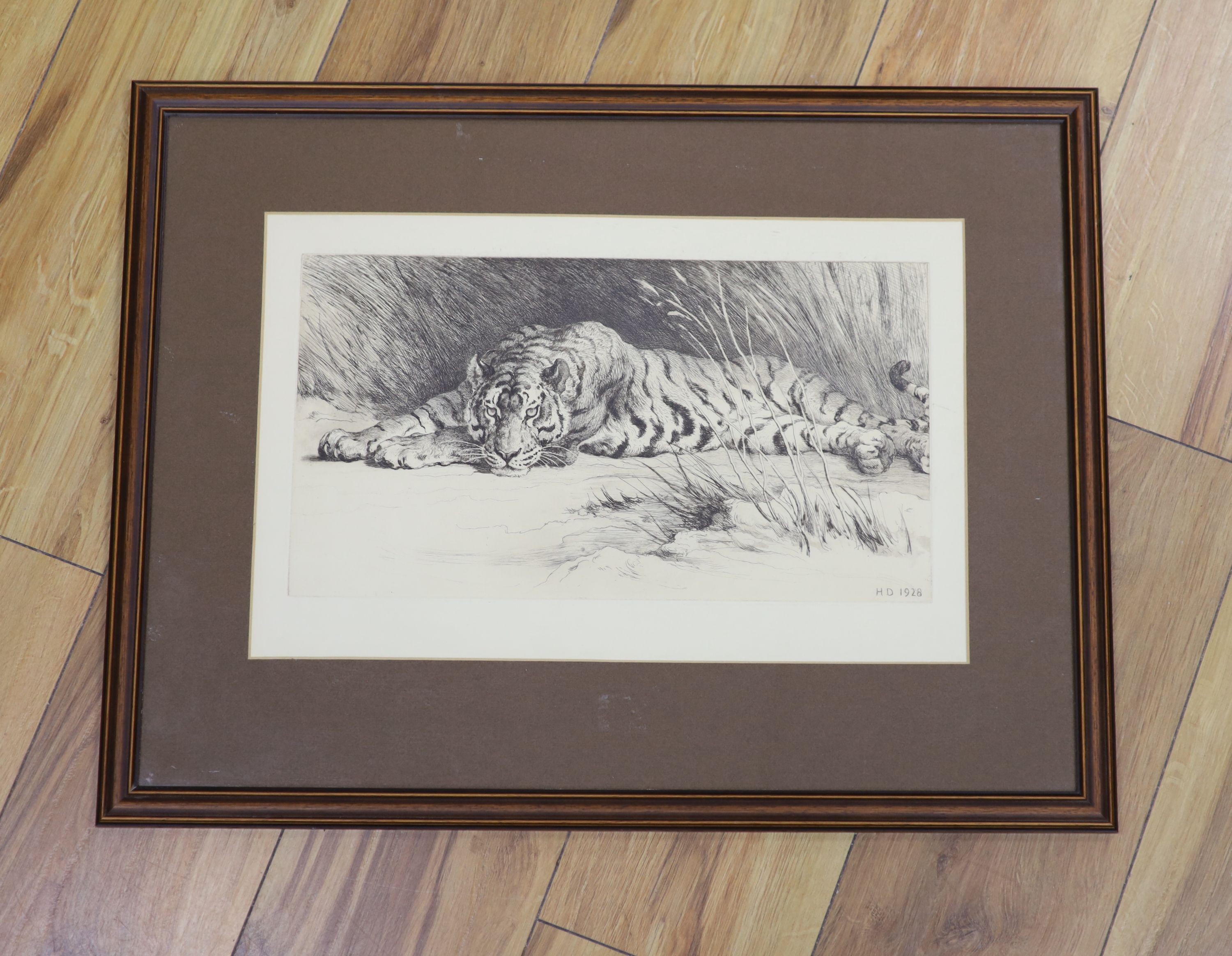 Herbert Dicksee (1862-1942), engraving, Tiger in the grass, signed and dated in the plate, 21 x 38cm